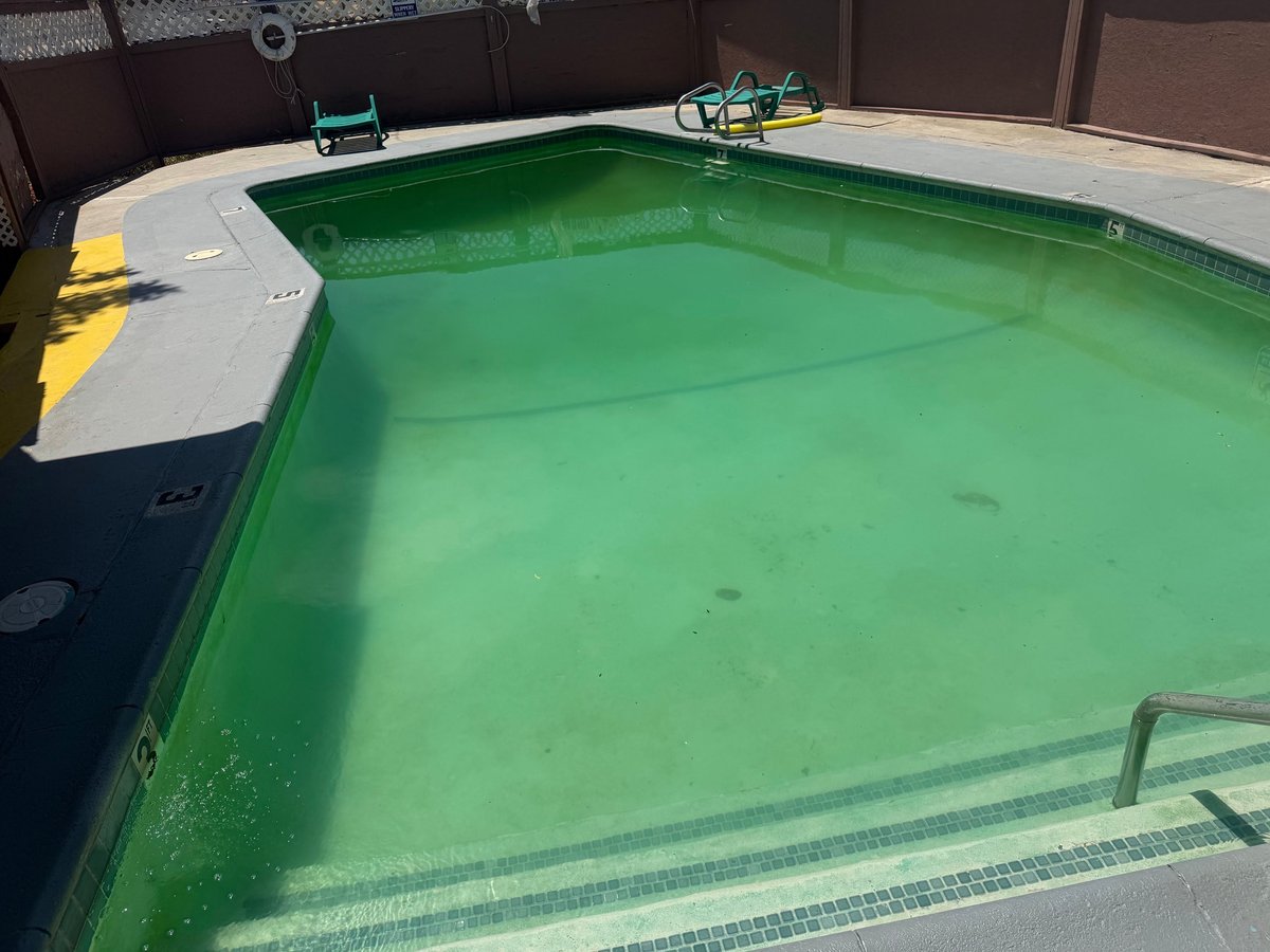 Empty swimming pool with bright green water and maintenance equipment on deck
